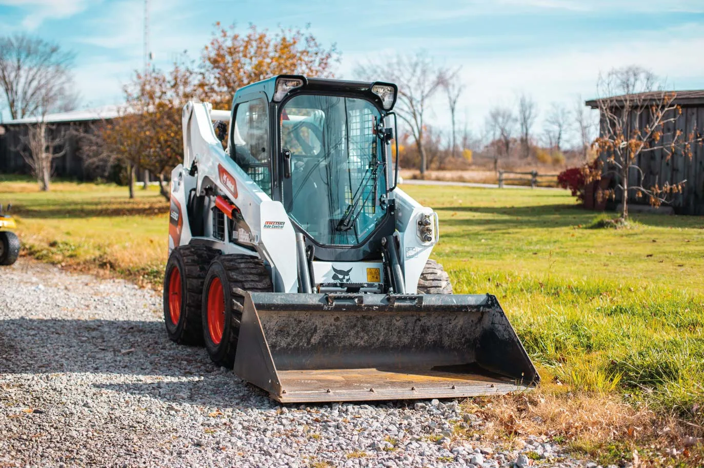 Bobcat